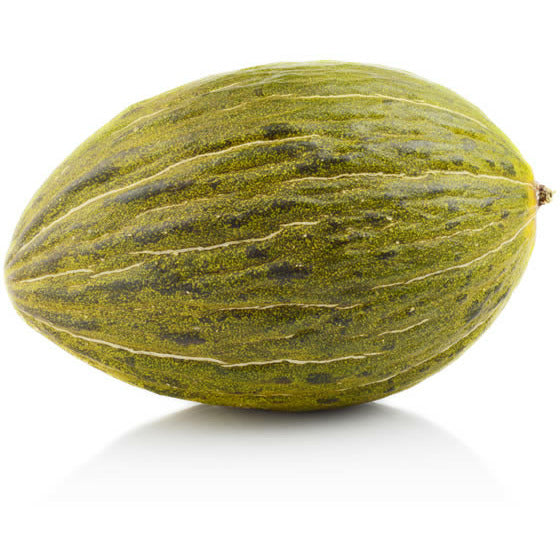 Melon Frogskin