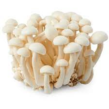 Mushrooms Shimiji Prepack