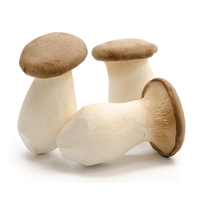 Mushrooms King Oyster