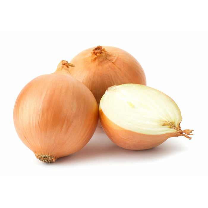 Onion Spanish