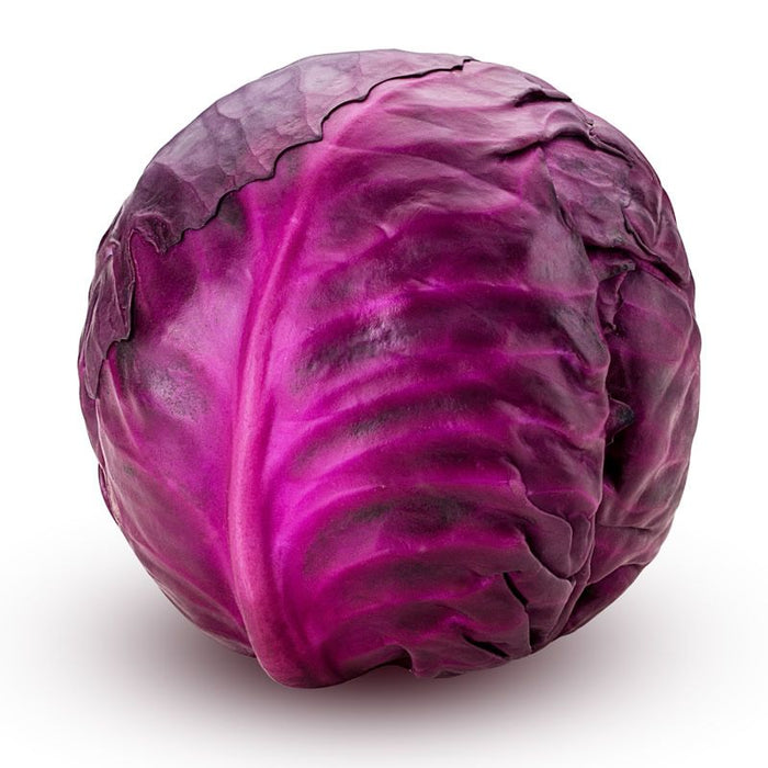 Cabbage Red (1kg)
